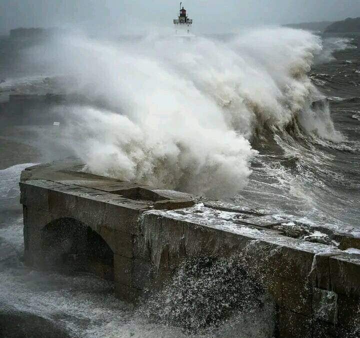 خود کو ہر بزم مسرت میں سمو کر دیکھا