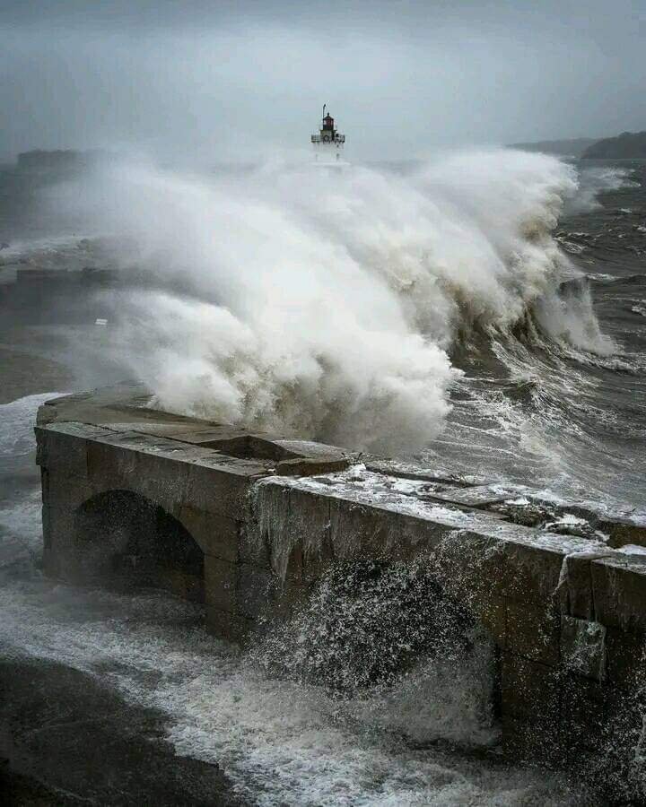 خود کو ہر بزم مسرت میں سمو کر دیکھا