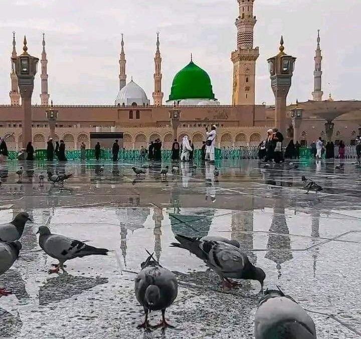 وَمَا أَرْسَلْنَاكَ إِلَّا رَحْمَةً لِلْعَالَمِينَ