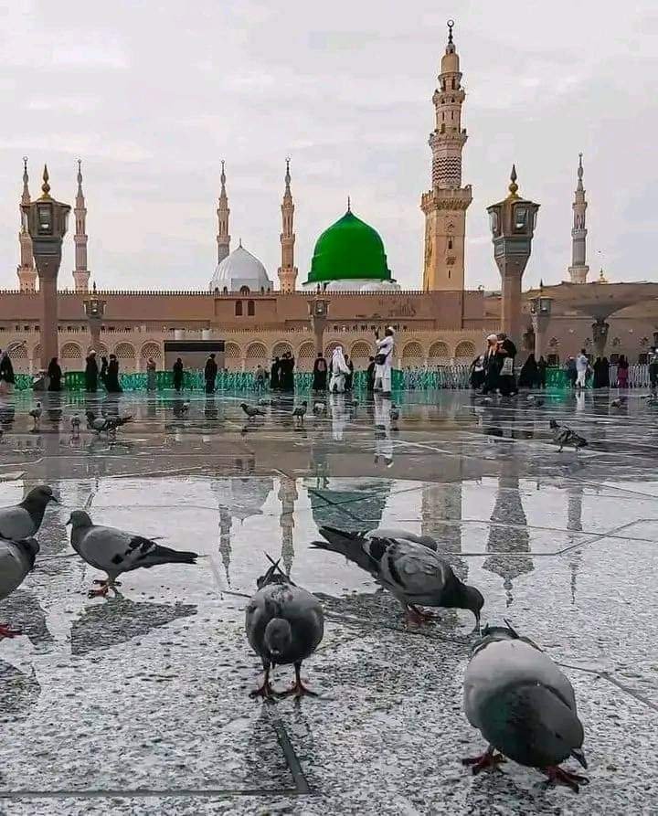 وَمَا أَرْسَلْنَاكَ إِلَّا رَحْمَةً لِلْعَالَمِينَ