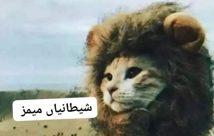 لے فیر کڑیا