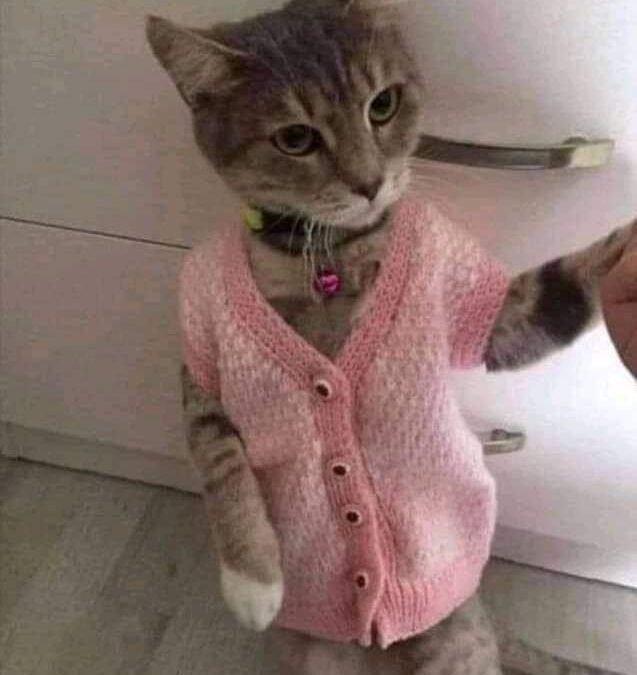 ‏چار دن سے سارے خواب English میں آرہے تھے