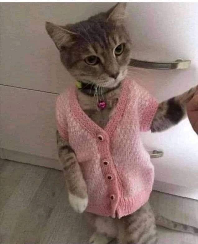 ‏چار دن سے سارے خواب English میں آرہے تھے