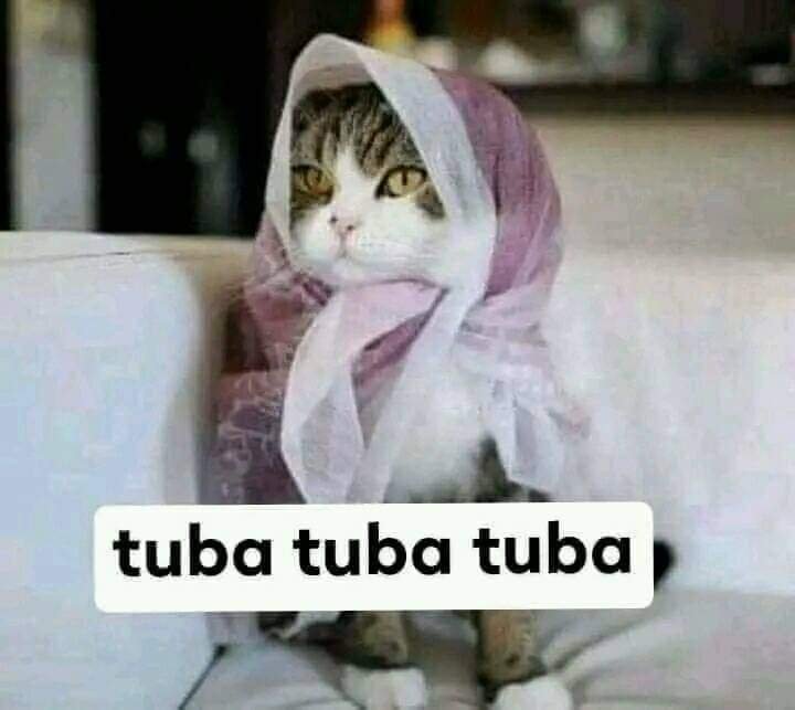 کجھ کرماں آلیاں نوں پتہ ہی نہیں ہونا