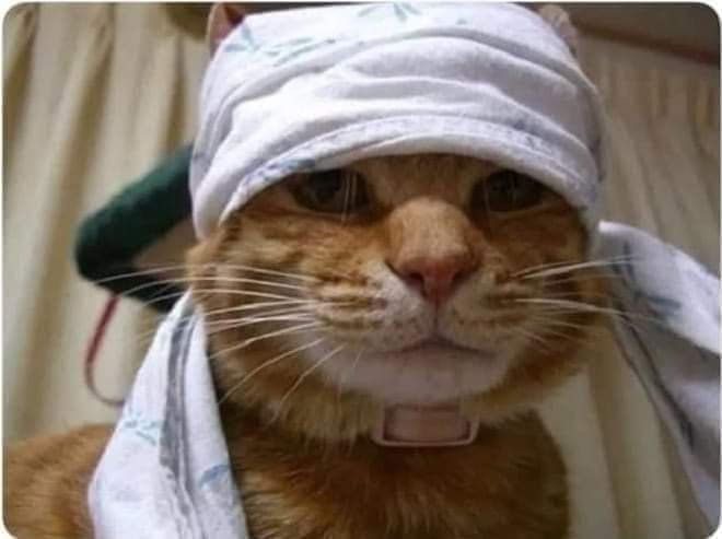 شدید دھند کی وجہ سے