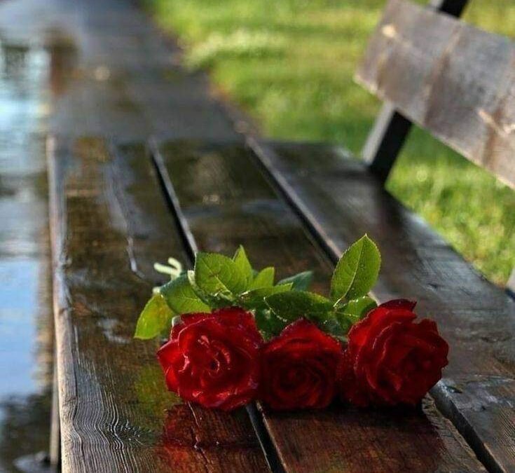 ہم محبت کرنے والے