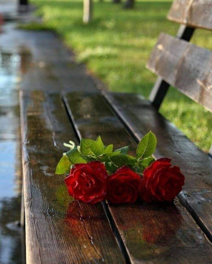 ہم محبت کرنے والے