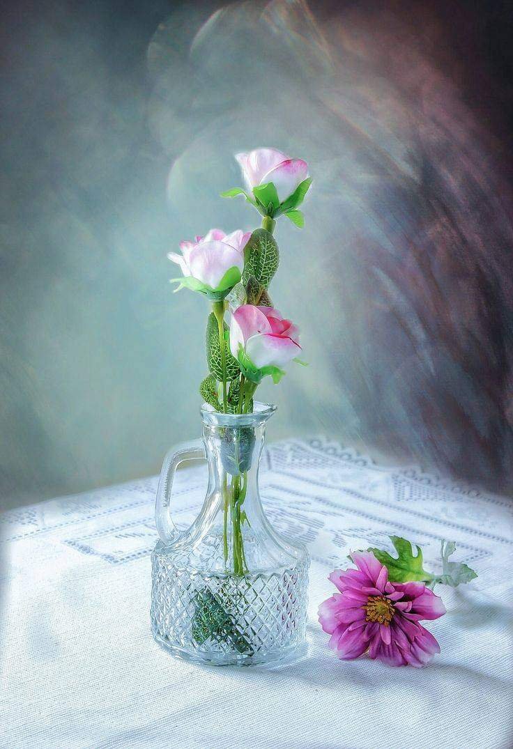 شاید میرا یہ مسئلہ سب سے