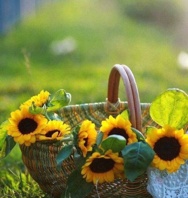 اگر آپ کسی سے