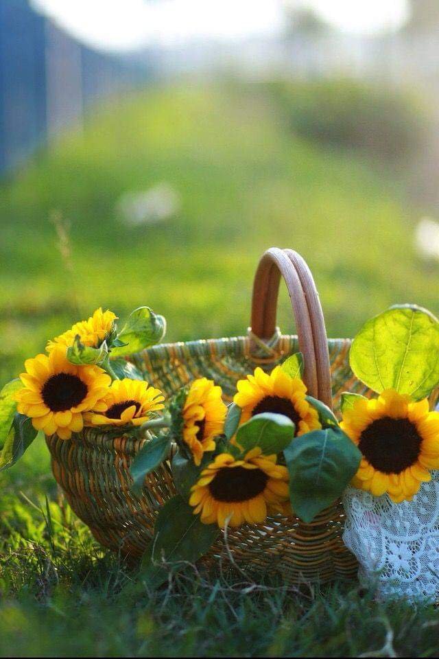 اگر آپ کسی سے