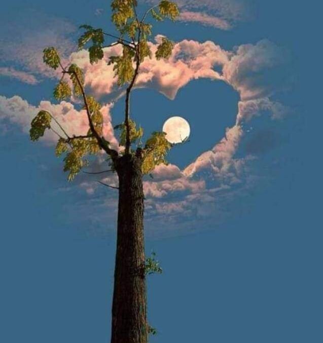 محبوب کی قربت