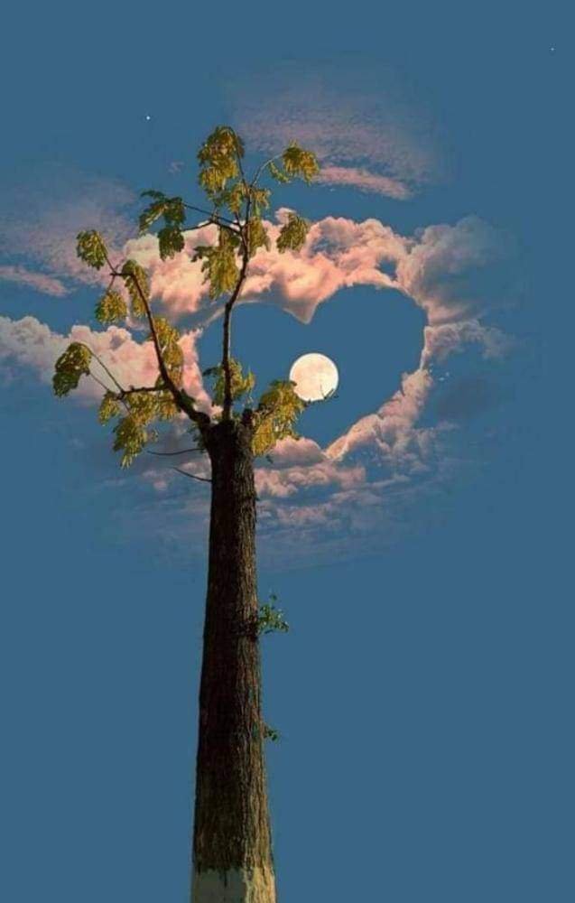 محبوب کی قربت