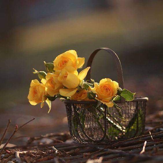 ہم اور آپ جتنی مرضی نمازیں