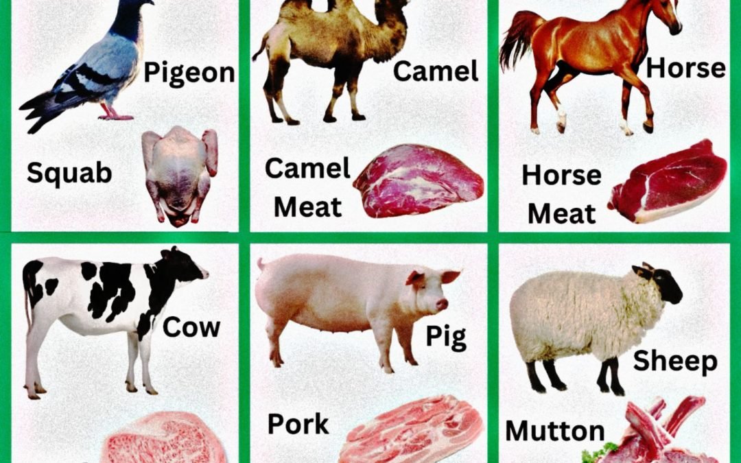 Animals And Their Meat Names