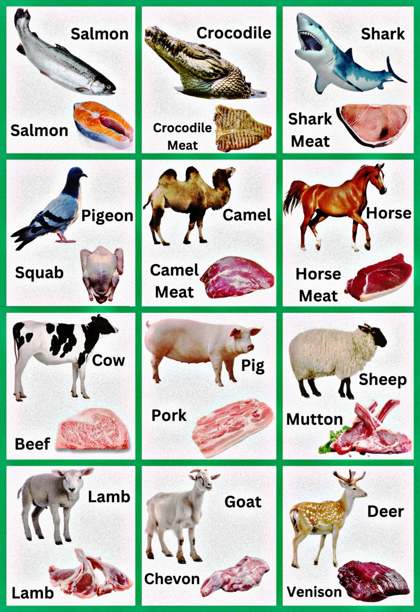 Animals And Their Meat Names